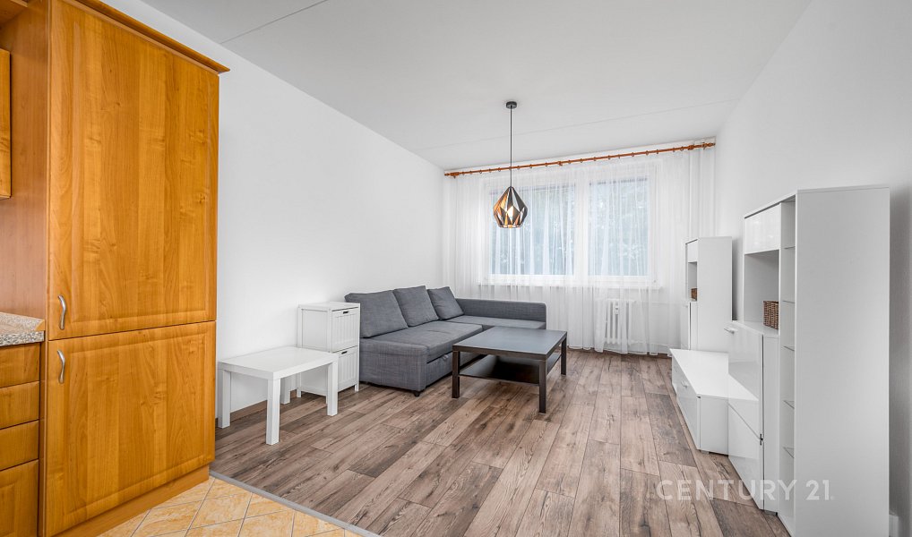 Pronájem bytu 2+kk 41 m², Praha – náhled fotky 5