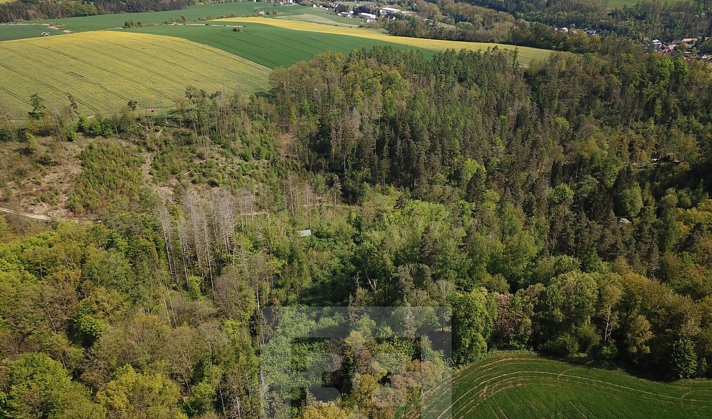 Prodej lesa 4 369 m², Chocerady – náhled fotky 2