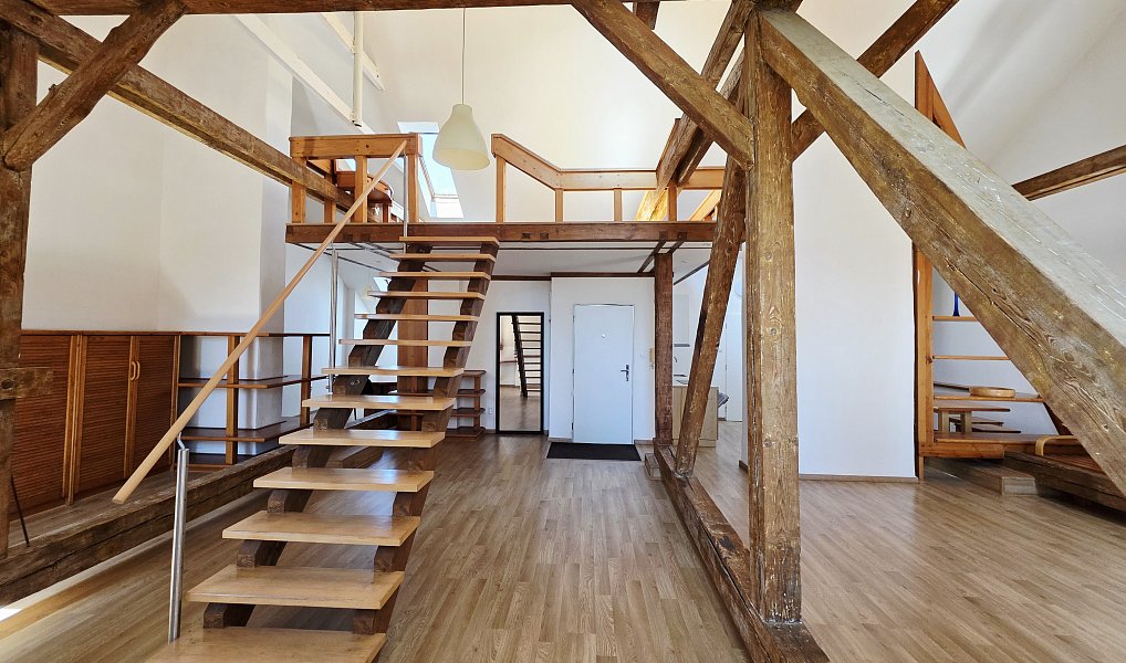Pronájem bytu 1+kk 106 m², Plzeň – fotka 1 z 22