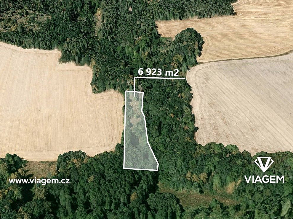 Pole 6 923 m², Podíl 67 % o výměře 4 615 m²