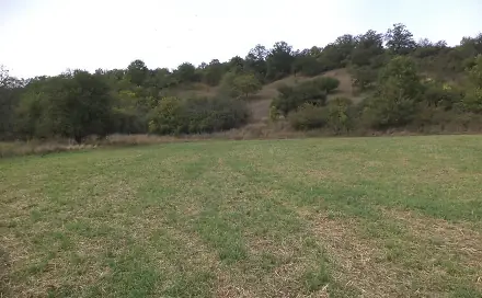Dražba louky 22 441 m², Řehlovice