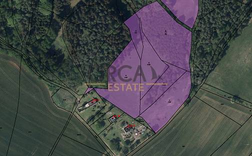 Prodej pozemku 37 109 m², Borovnička, okres Trutnov