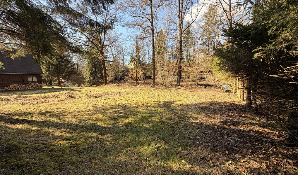 Prodej chaty/chalupy 20 m² s pozemkem 220 m², Římov – náhled fotky 4