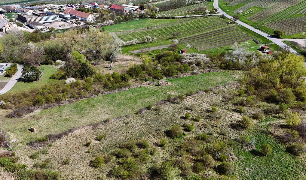 Ostatní