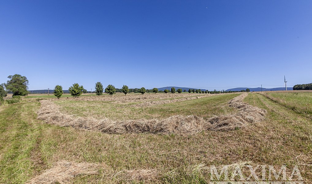 Prodej pole 54 591 m², Krásný Les – náhled fotky 12