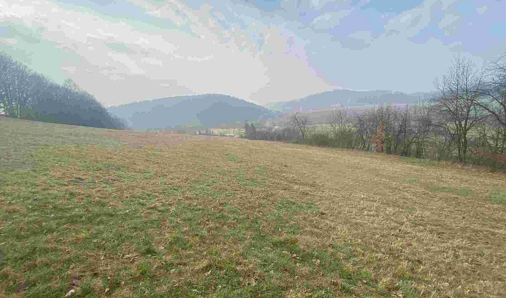 Prodej pozemku 9 269 m², Linhartice – náhled fotky 2