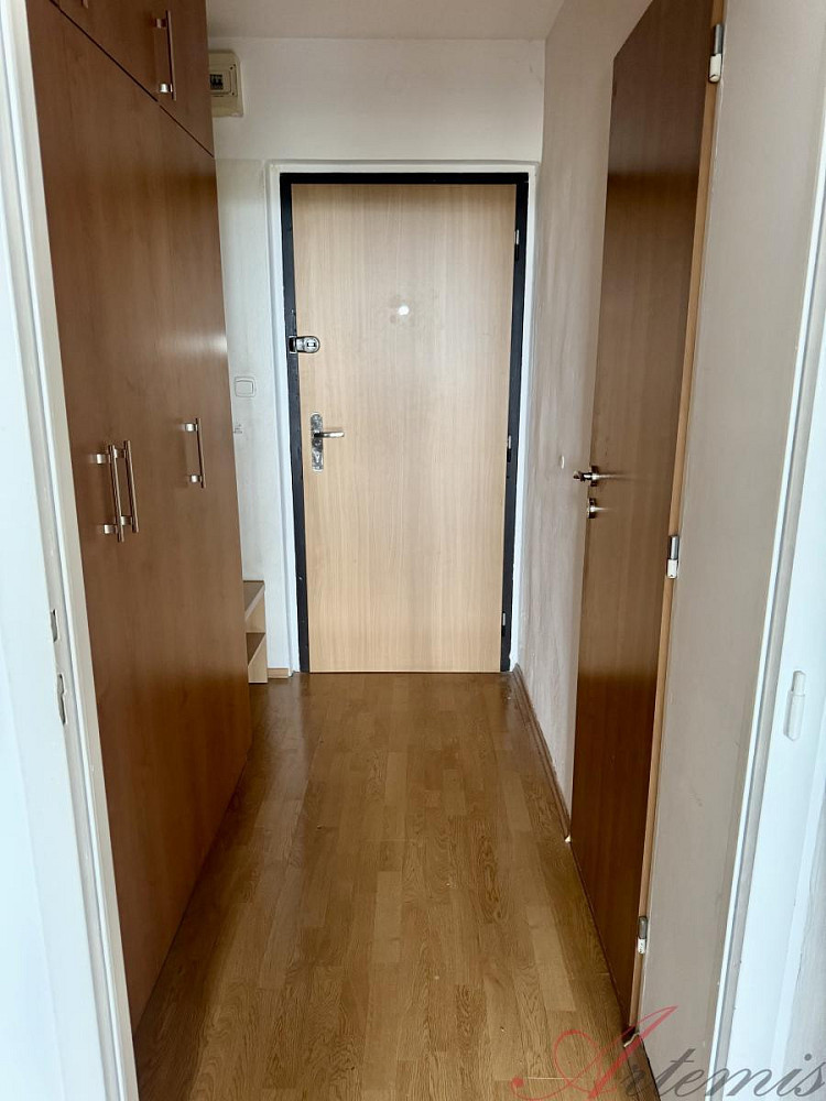 Prodej bytu 1+kk 27 m² — photo 5