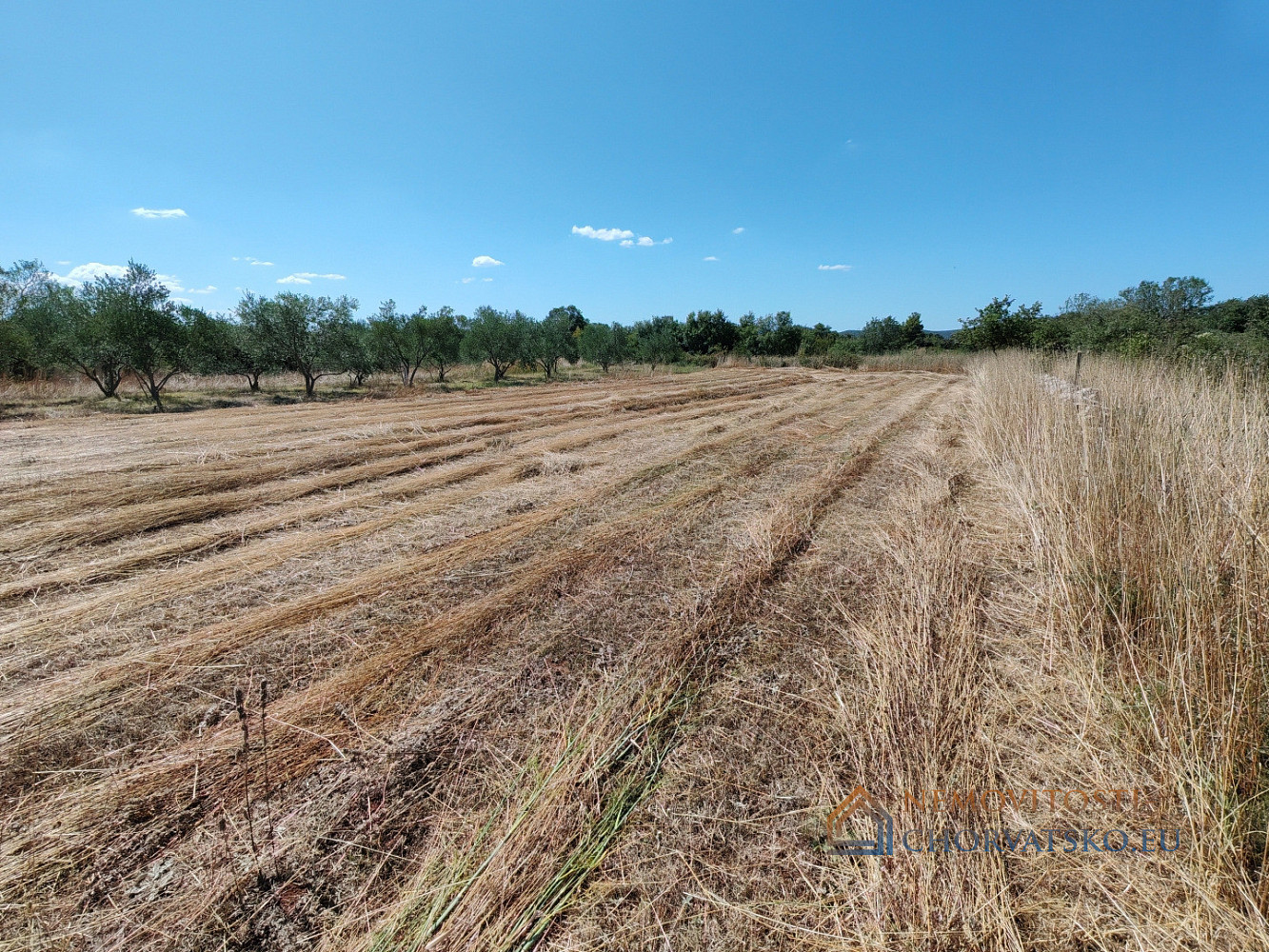 Prodej stavebního pozemku 1 000 m² - Ansicht 6