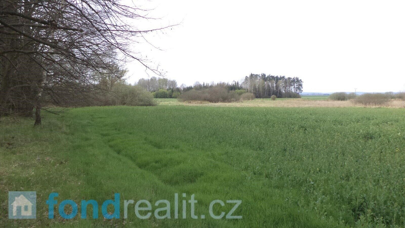 Prodej pole 3 467 m² – fotografie 3