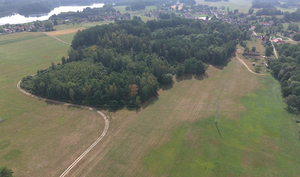 Prodej lesa 360 000 m², Chlum u Třeboně – náhled fotky 8