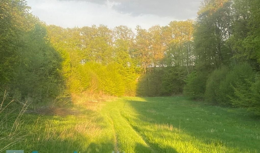 Prodej pole 3 829 m², Tachov – náhled fotky 4