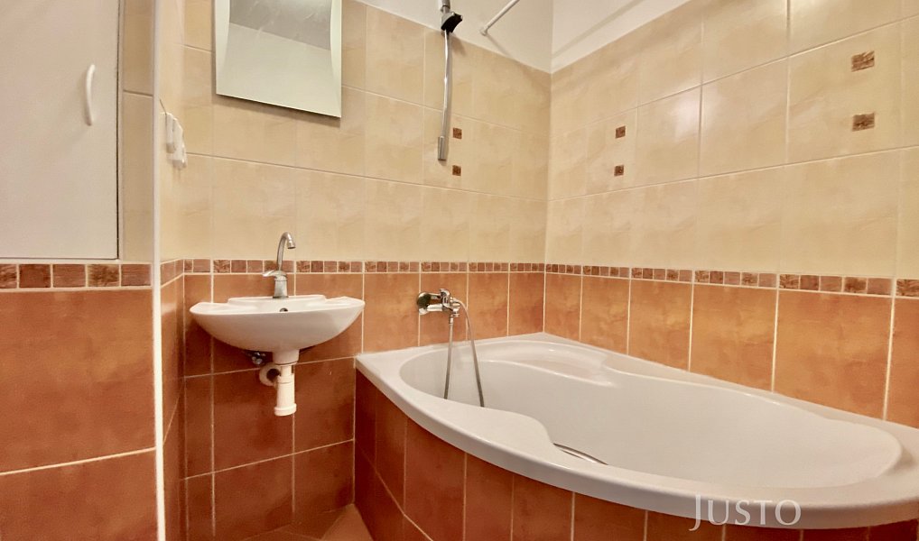 Pronájem bytu 2+1 54 m², Frýdek-Místek – náhled fotky 7