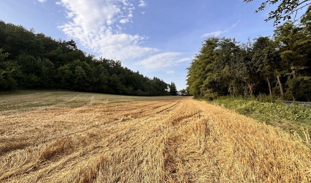 Prodej stavebního pozemku 14 370 m², Kralupy nad Vltavou – náhled fotky 5