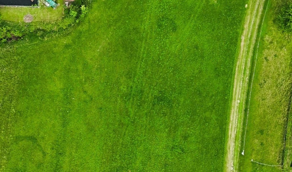 Prodej stavebního pozemku 8 000 m², Podhradí – náhled fotky 4