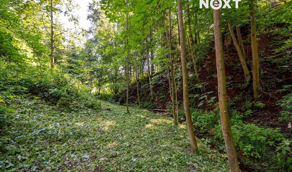 Prodej domu 205 m² s pozemkem 700 m², Bukovina u Čisté – náhled fotky 22