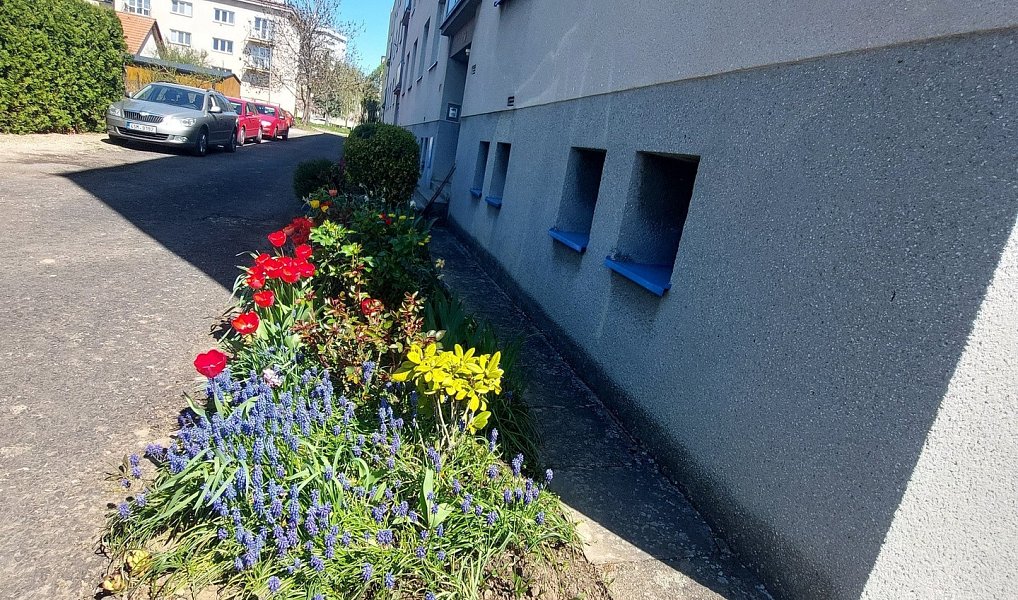 Prodej bytu 3+1 67 m², Jičín – náhled fotky 16
