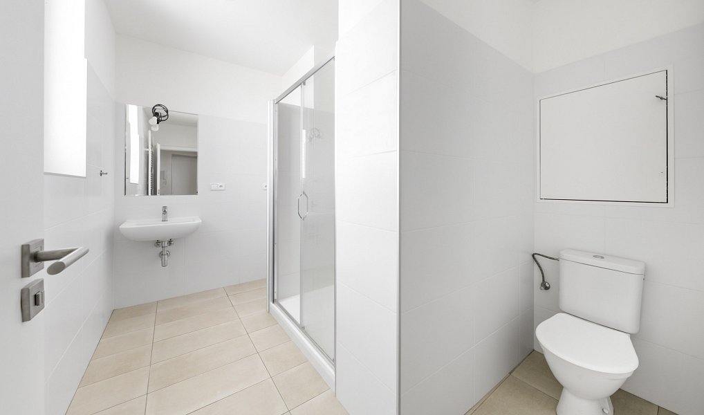 Pronájem bytu 1+1 66 m², Plzeň – náhled fotky 7