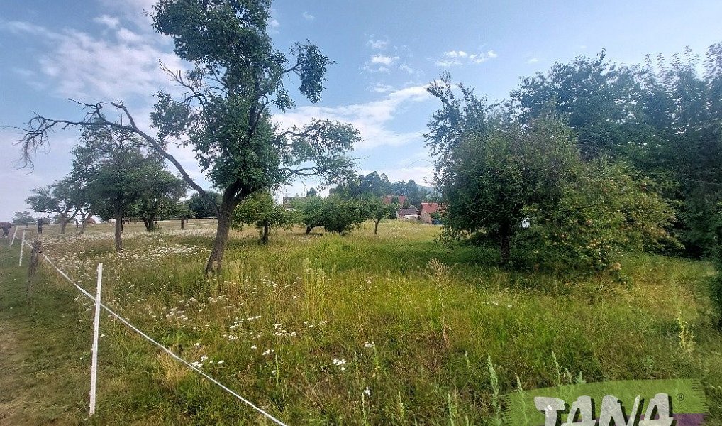 Prodej zahrady 2 566 m², Radostná pod Kozákovem – náhled fotky 3