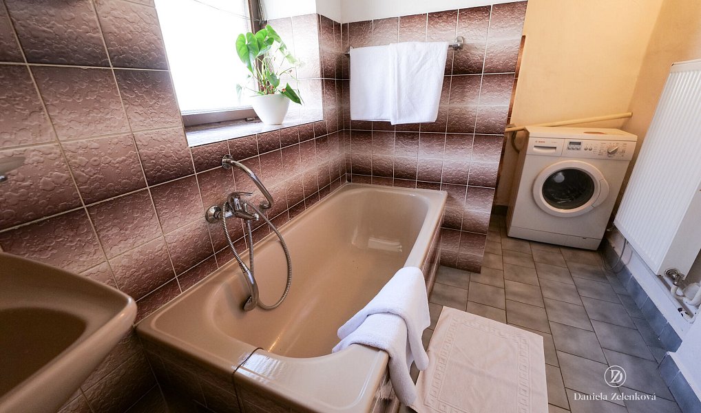 Prodej domu 105 m² s pozemkem 6 022 m², Plav – náhled fotky 15
