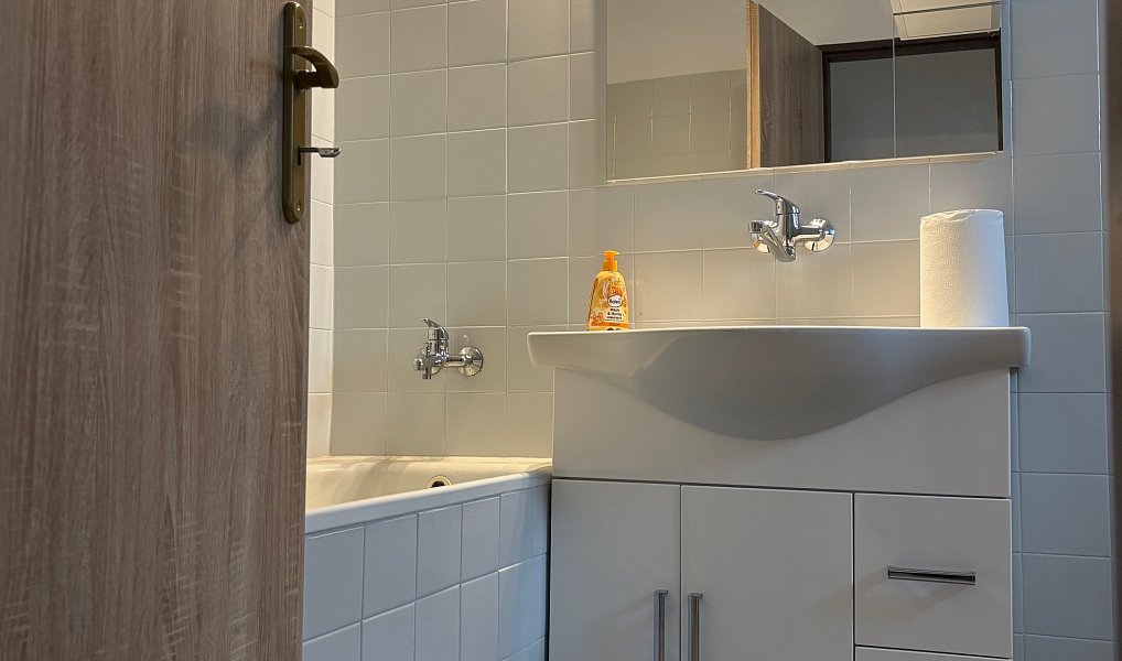 Pronájem bytu 3+1 150 m², Přáslavice – náhled fotky 10