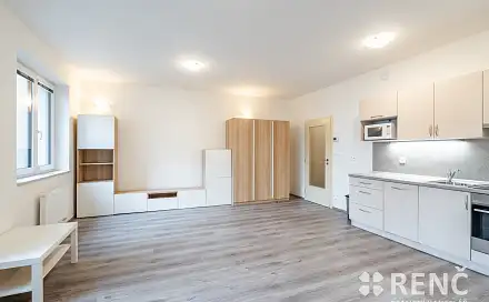 Pronájem bytu 1+kk 44 m²