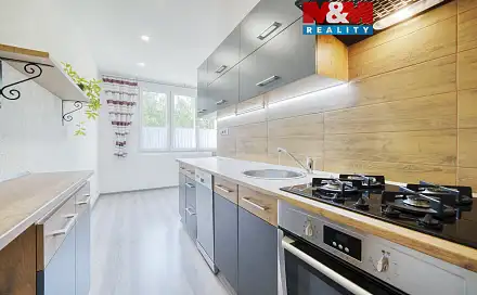 Prodej bytu 2+1 56 m², Bělojarská, Tachov