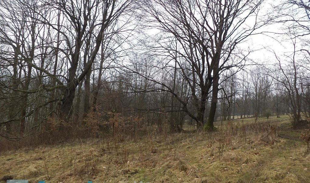 Prodej pole 5 161 m², Česká Kamenice – náhled fotky 2
