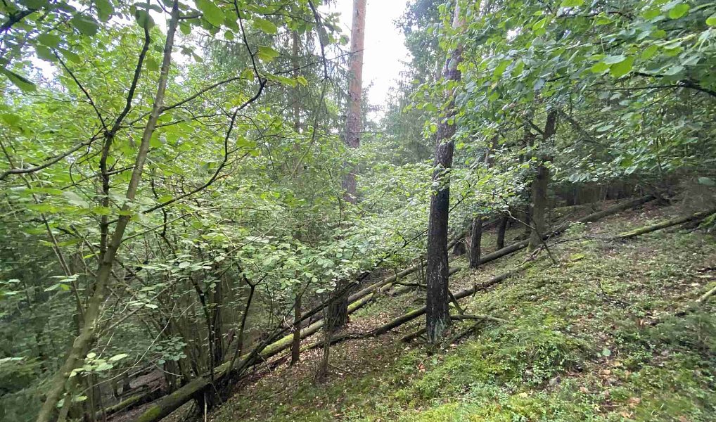 Prodej pozemku 3 382 m², Křečovice – náhled fotky 2