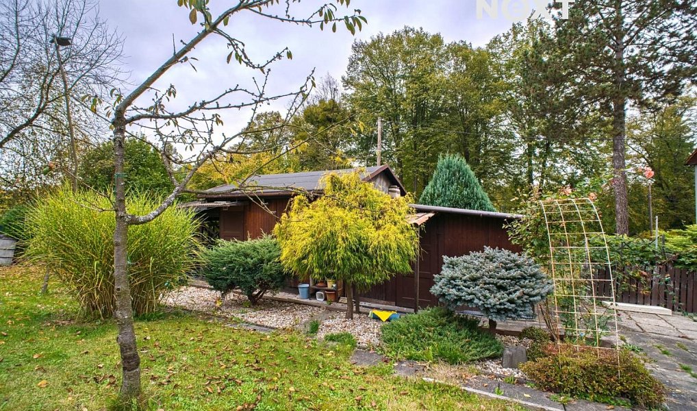 Pronájem zahrady 3 000 m², Doubrava – náhled fotky 9