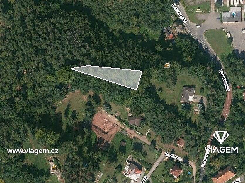 Prodej lesa 776 m² – fotografie 2