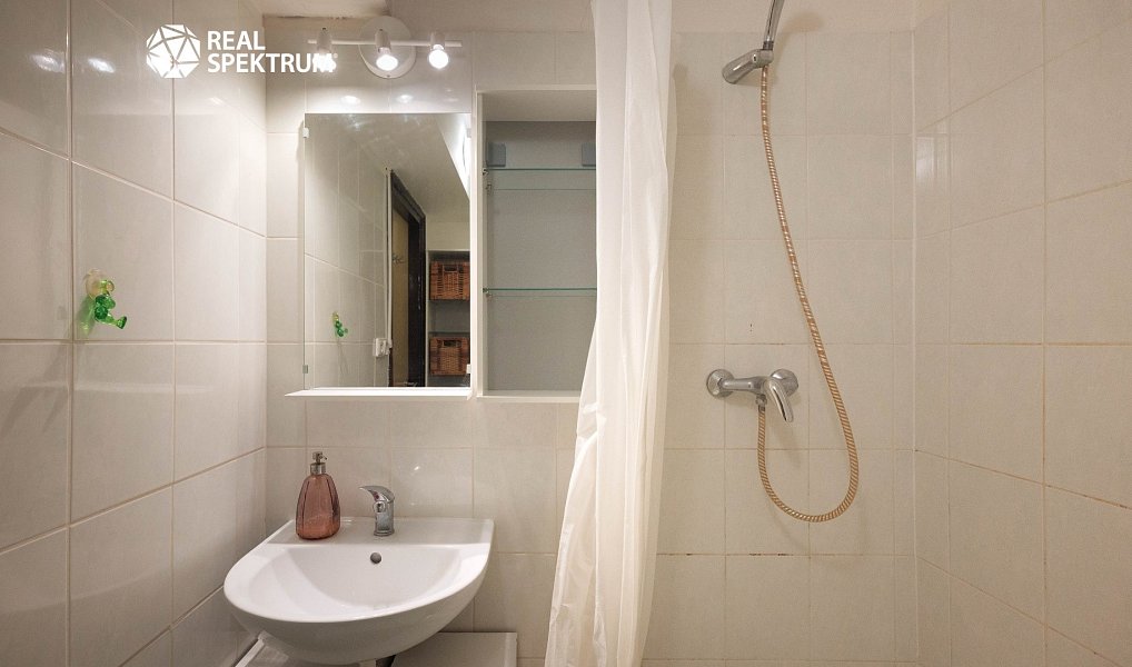 Prodej bytu 2+1 47 m², Brno – náhled fotky 11