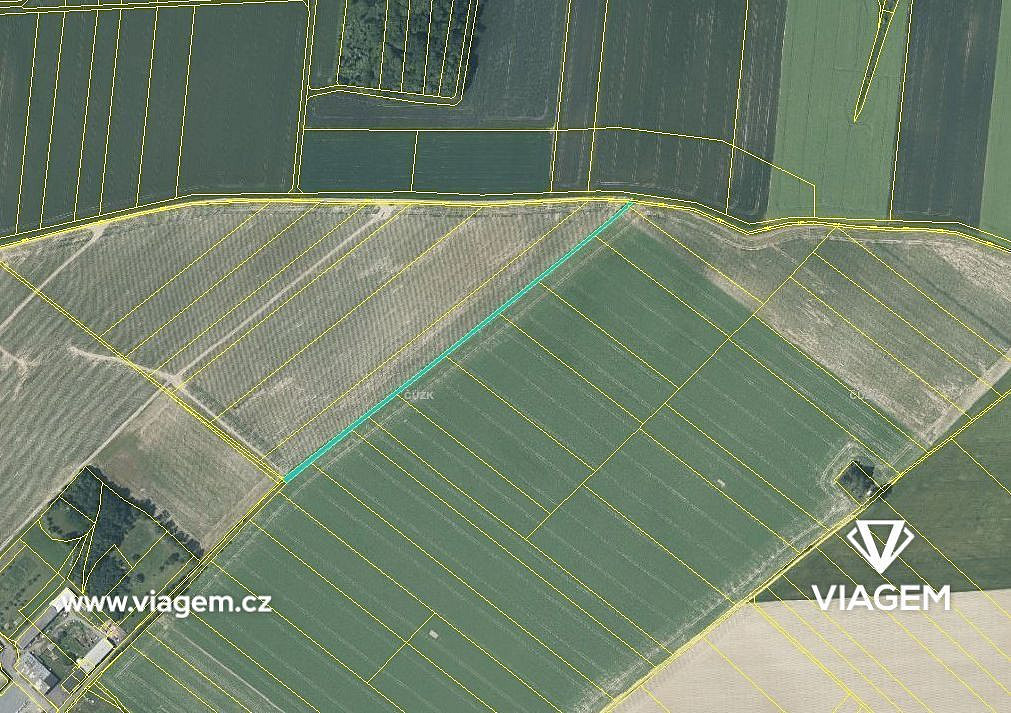 Prodej pole 315 m² – fotografie 3