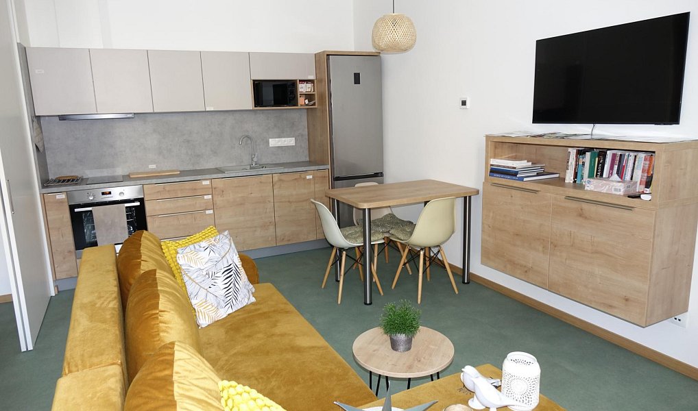 Pronájem bytu 2+kk 40 m², Strážnice – náhled fotky 4