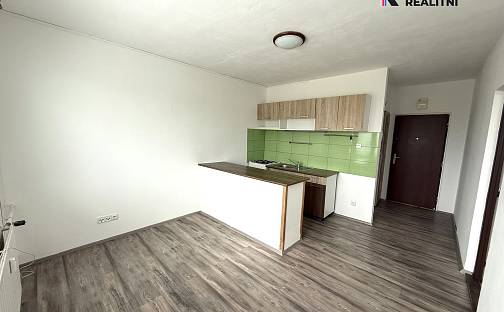 Pronájem bytu 1+1 40 m², Švabinského, Sokolov