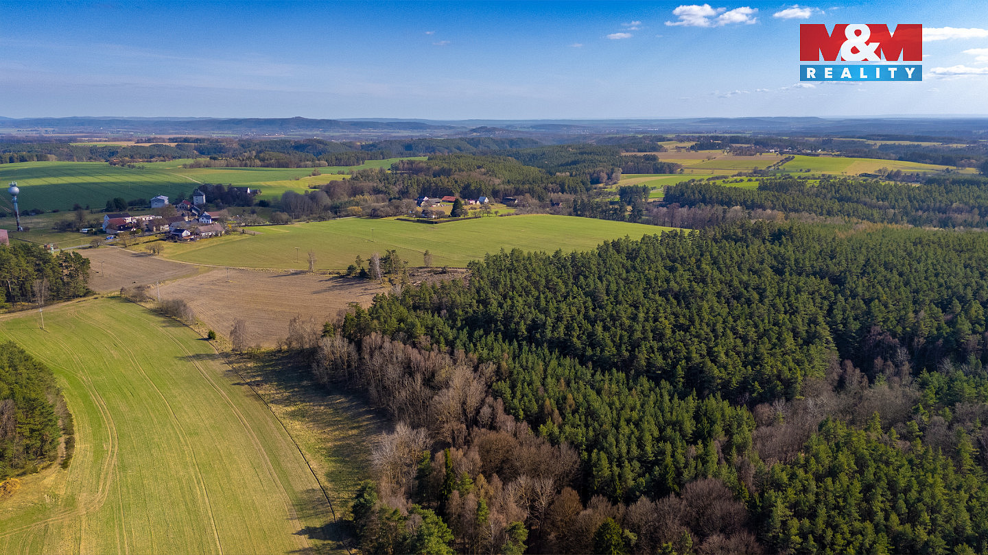 Prodej lesa 23 199 m² – fotografie 3