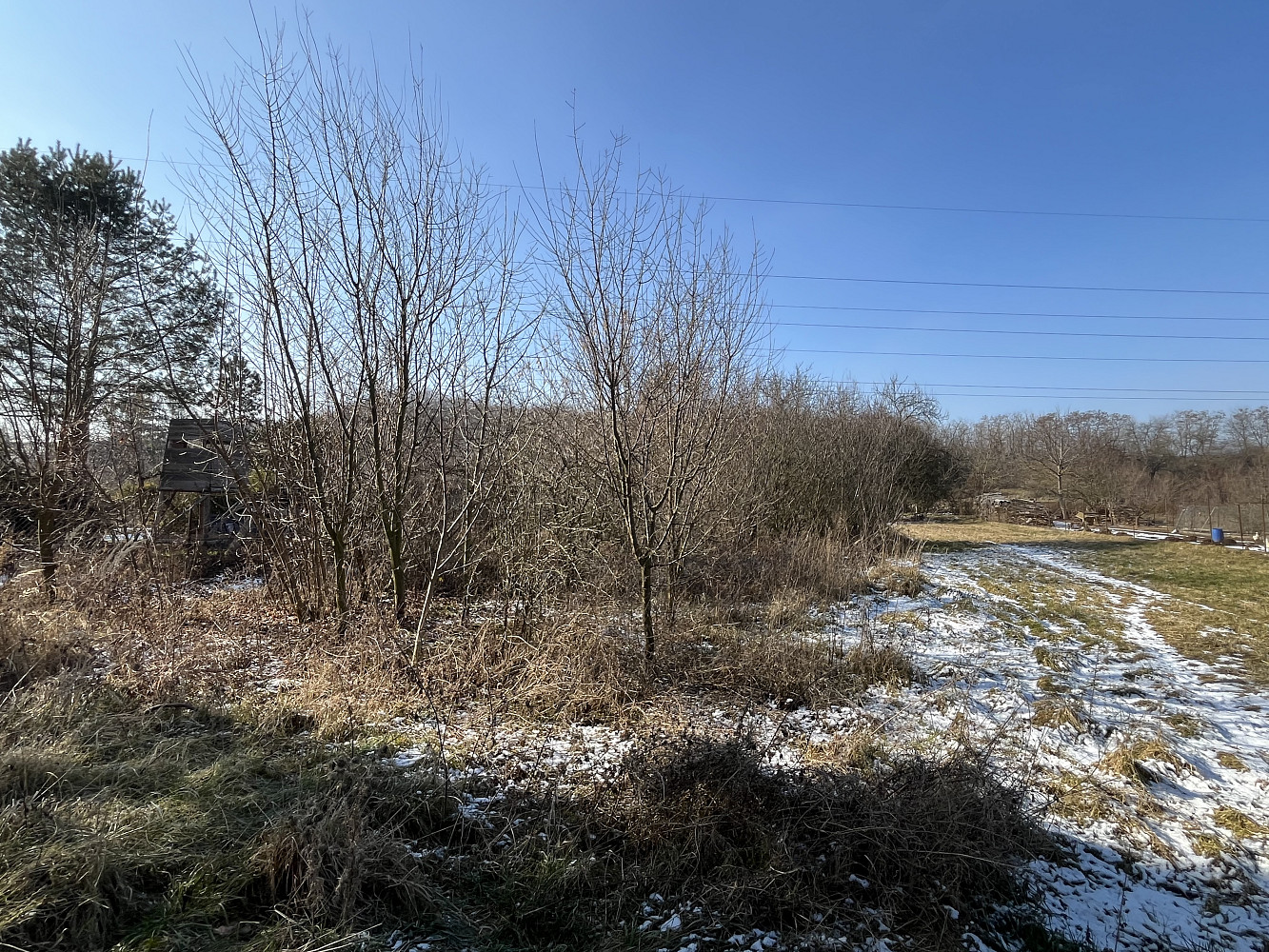 Prodej zahrady 928 m² – fotografie 4