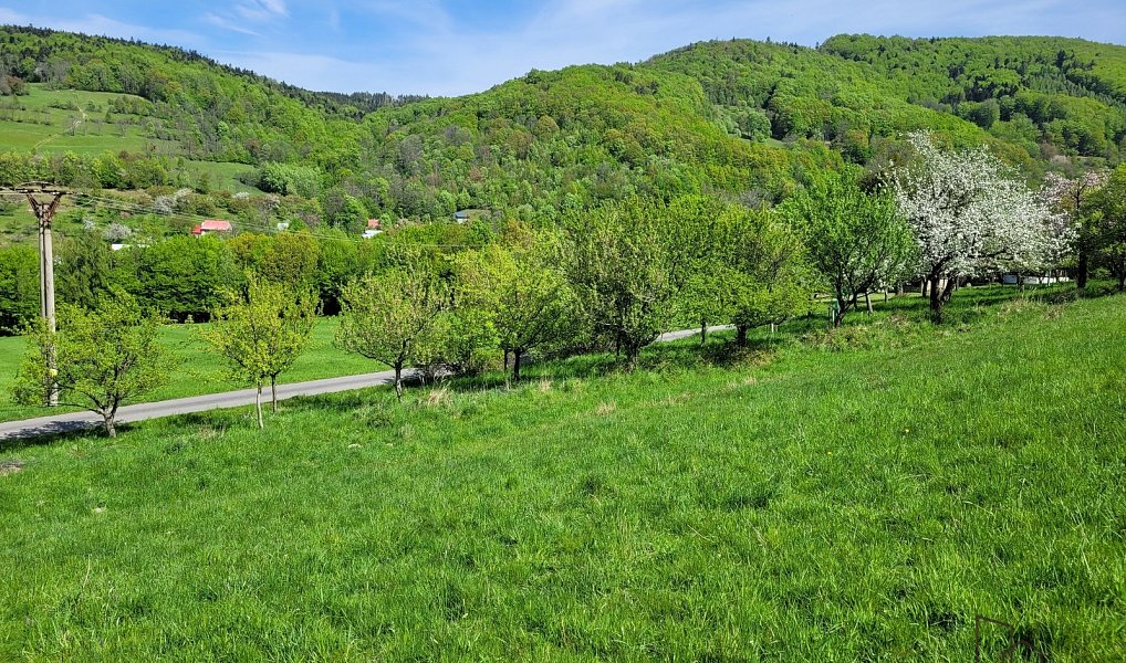 Prodej pozemku 3 304 m², Rusava – náhled fotky 13