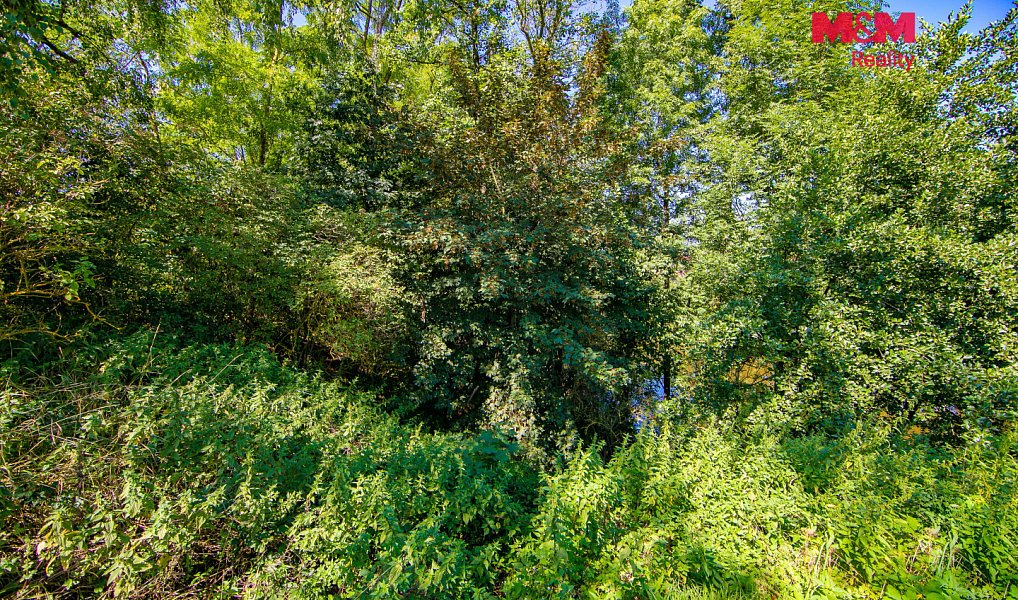 Prodej louky 286 m², Hradec – náhled fotky 10