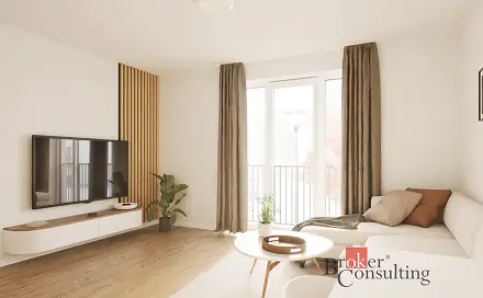 Prodej bytu 1+kk 30 m², Cihelní, Ostrava - Moravská Ostrava