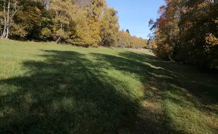 Prodej louky 25 304 m², Rožmitál na Šumavě - Zahrádka, okres Český Krumlov