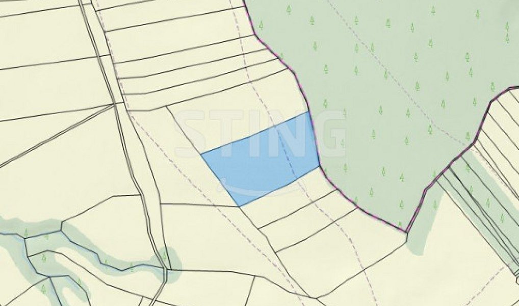 Prodej lesa 11 087 m², Hrubá Vrbka – náhled fotky 4