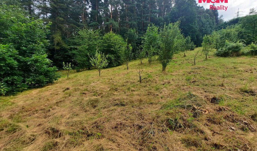 Prodej stavebního pozemku 2 948 m², Újezd pod Troskami – náhled fotky 16