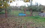 Ostatní