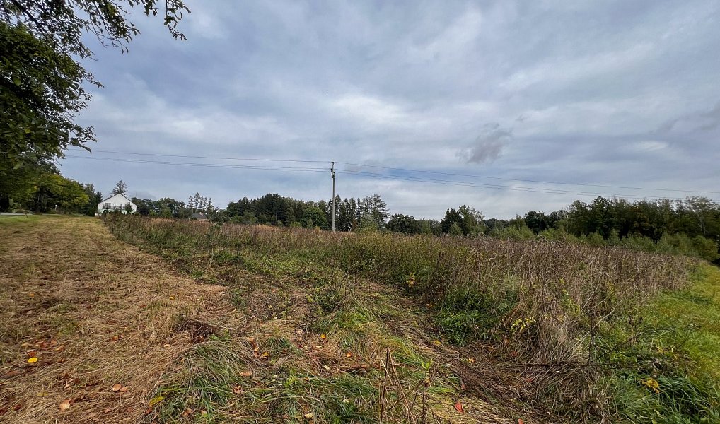 Prodej stavebního pozemku 14 097 m², Havlíčkův Brod – náhled fotky 8