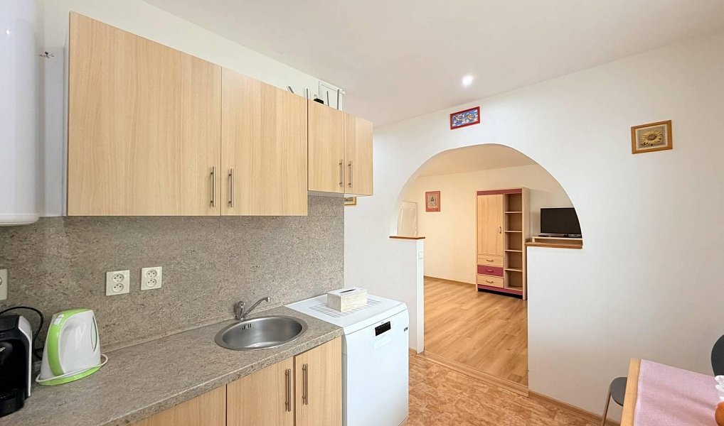 Pronájem bytu 1+1 35 m², Chomutov – náhled fotky 3