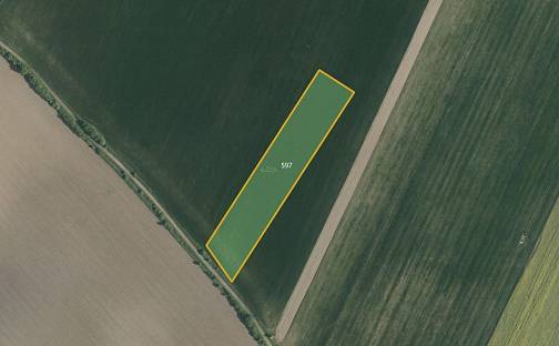 Prodej louky 9 812 m², Bezděkov, okres Pardubice