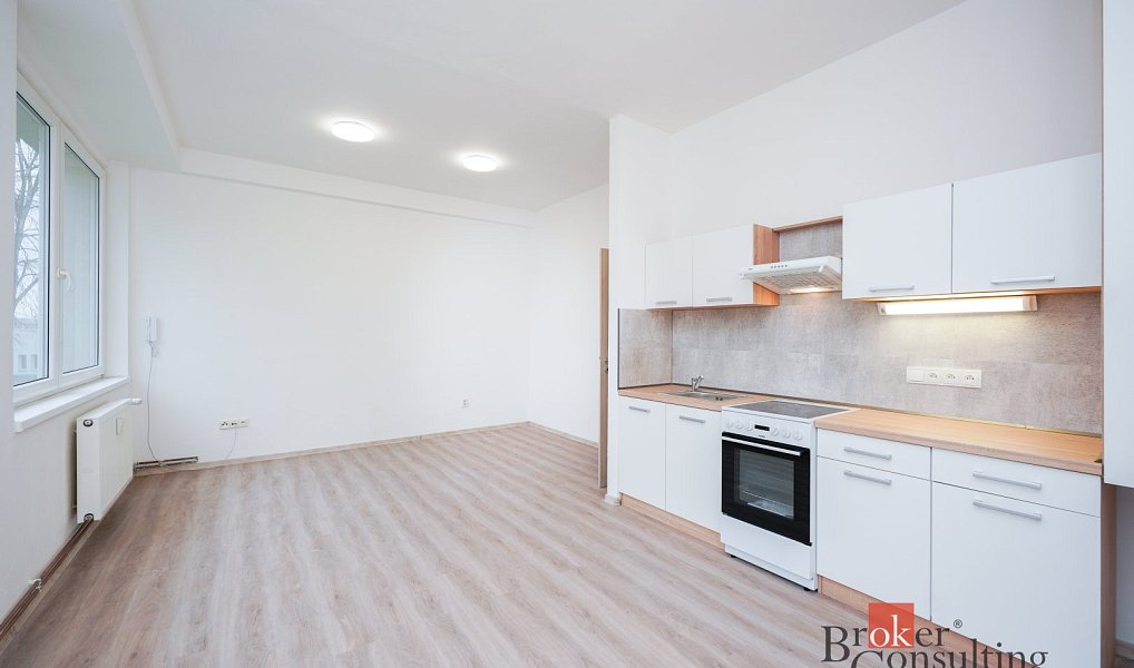 Pronájem bytu 2+kk 52 m², Mlékojedy – náhled fotky 3