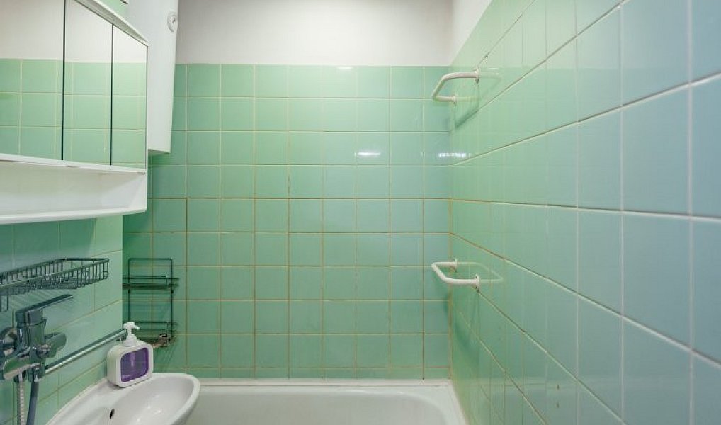 Prodej bytu 2+1 60 m², Opočno – náhled fotky 11