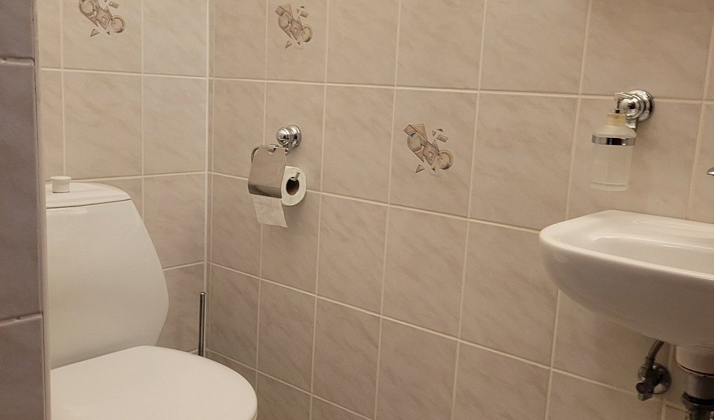 Prodej domu 280 m² s pozemkem 876 m², Liberec – náhled fotky 12