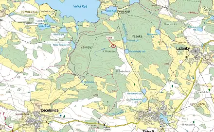 Dražba lesa 180 m², Záboří